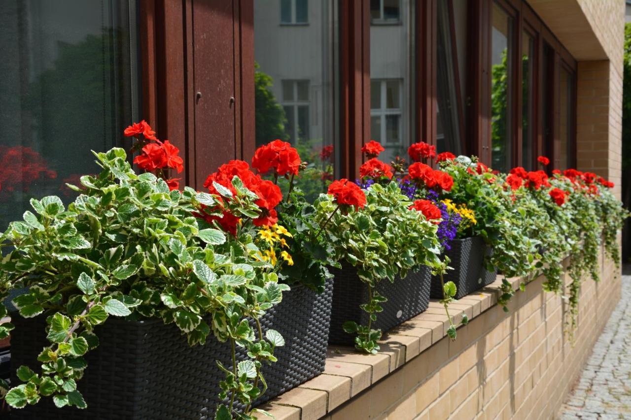Hotel Hotel Aquino Berlin 3*